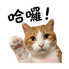 我是克雷寶包