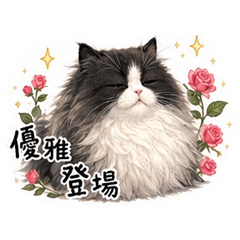 襪子貓ㄓ咘嚕克-牛奶貓泡牛奶