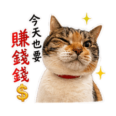 Rich Afai in stock market