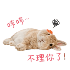 RabbitBabby3
