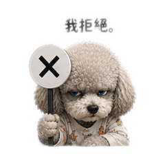 灰貴賓社畜日常