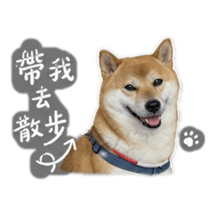狗蛋的日常實用貼圖