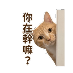 花生的ㄎㄧㄤ日常