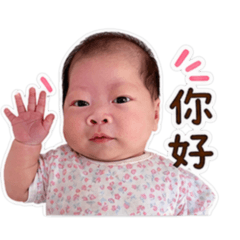 樂寶問候