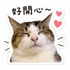 點點公主的表情包