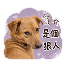 阿樂不想上班