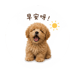 太妃妃妃妃