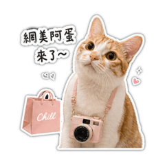 好運阿胖蛋