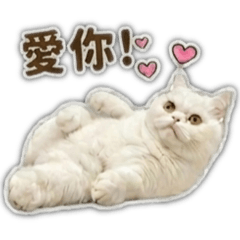 霸氣小湯
