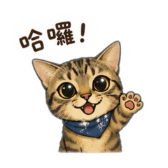 虎斑妹Sunny