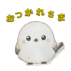 mfukuyama_20260513171024