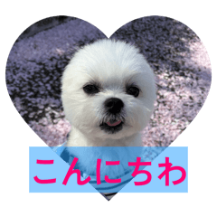 わくわくらん