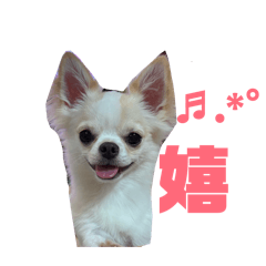 ono_20260513174330