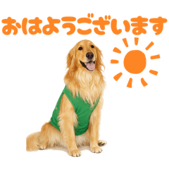 piropiro_20260513194105