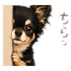 ichi_20260513174331