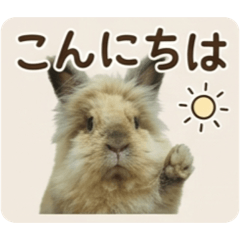 TAKEMOON_20260513195228