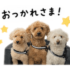 sango_20260513195003