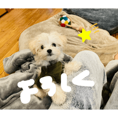 kaorinrin_20260503180412