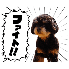 ichigotanfuru_20260513180834