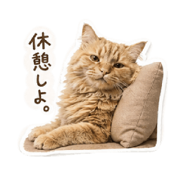 sango_20260513181556