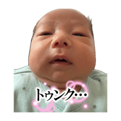 fuku_20260513181002