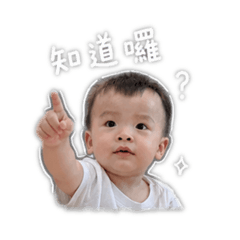 大頭愷2.0