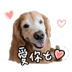 吳阿肥萌萌1