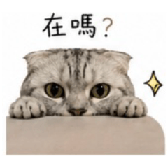 噗啾ㄉ日常