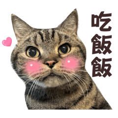 胖寶寶の日常