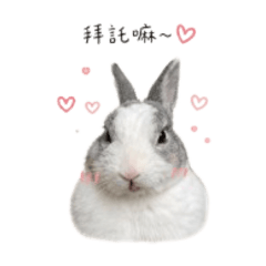 ⋆miffyᙏ *