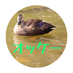 Photo to LineStamp Editor_20260513185203
