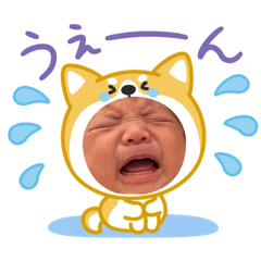pigmon_20260513201415