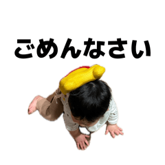 shio_20260513201511