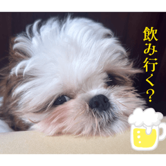 nohohon_20260513202139