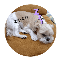 Mr.RON_20260513202233