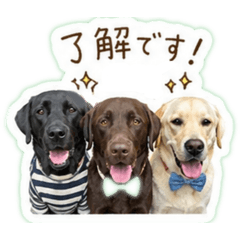 TGYpapa_20260513201741