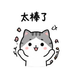 小貓（灰）