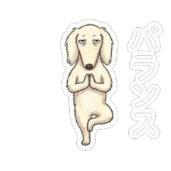 愛做瑜伽的臘腸