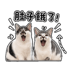 天娣想聊
