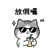 小貓貓（灰）
