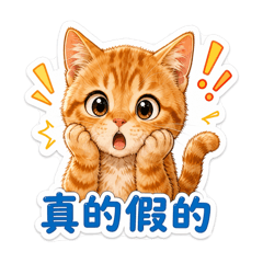 喵了個橘