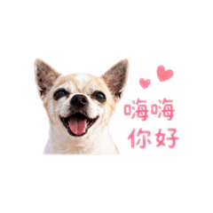 Q咪&軒兒