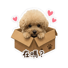 點點的日常生活呀