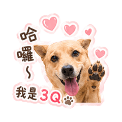 米克斯-3Q寶貝