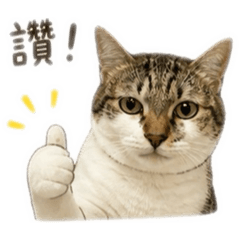 魯灣