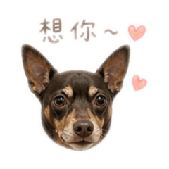 快樂小歐日記