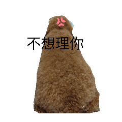我最愛的Lucky