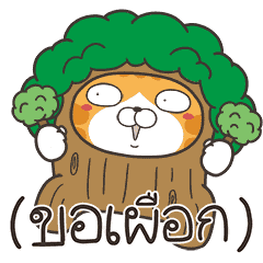เหมียวซ่า: จอมไฮเปอร์