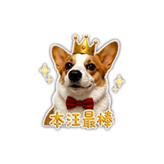 Hana科基的自戀日常
