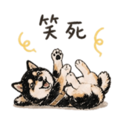 黑柴ninja小情緒